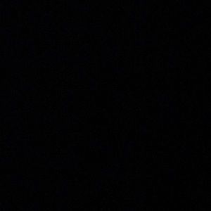 Meet your Posher, Sophia